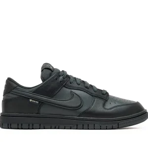 Nike Dunk Low GTX Black