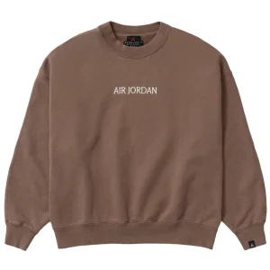 Air Jordan Wordmark Women Sweatshirt Brown